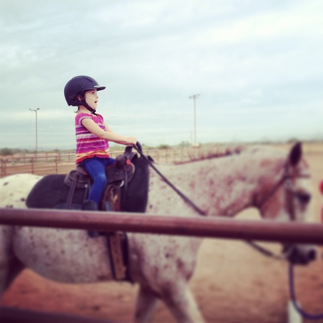 horse_reagan