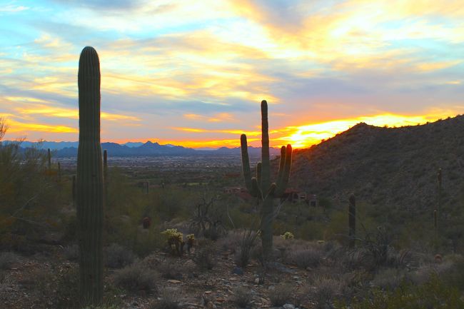 sunset, Arizona