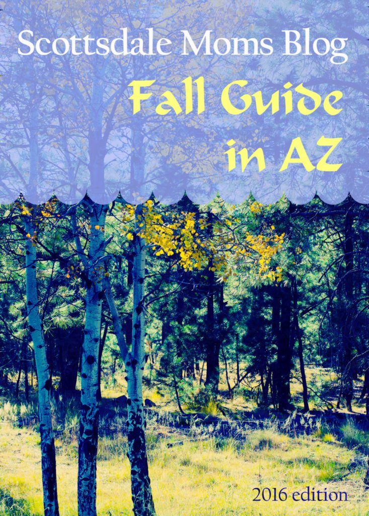 Fall guide in AZ photo kate eschbach photography2