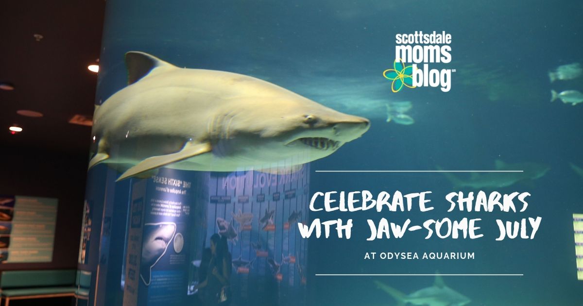 celebrate sharks with jaw-some July